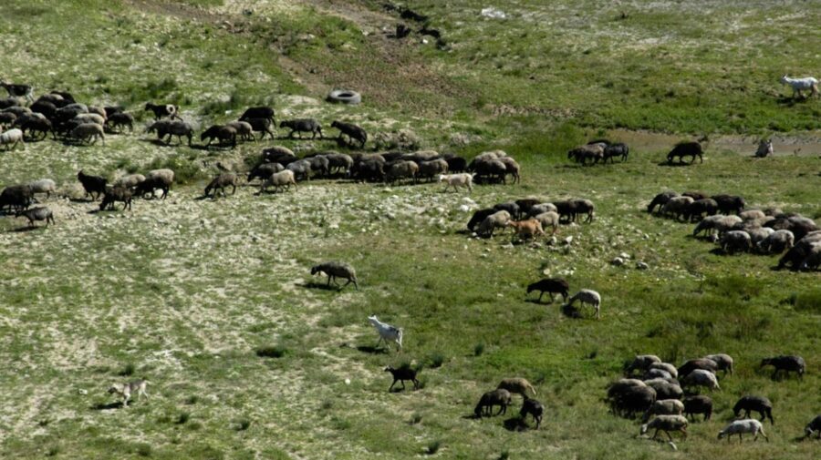 Dezastru în câmp! Peste 46.000 de oameni au abandonat agricultura