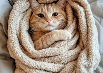 Прогноз погоды на 29 апреля: Изолированные заморозки на севере и слабые дожди на юге