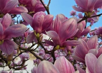 Прогноз погоды на 6 апреля: Преимущественно облачное небо по всей стране и температура до 23°C