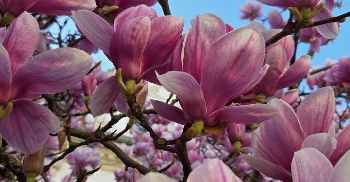 Прогноз погоды на 6 апреля: Преимущественно облачное небо по всей стране и температура до 23°C