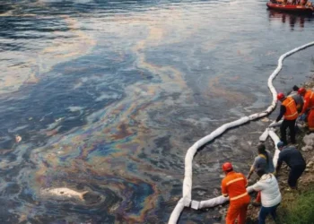 Река Днестр снова в безопасности? Режим тревоги, введенный после загрязнения нефтепродуктами, отменен