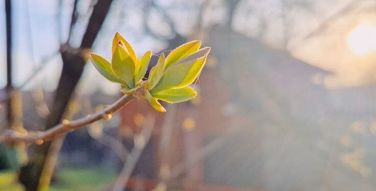 Прогноз погоды на 7 апреля: Сильный ветер по всей стране и температура до 15°C