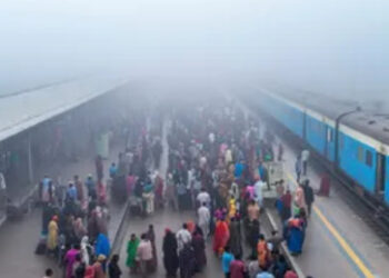 Учёные назвали год, когда на Земле начнется катастрофический кризис