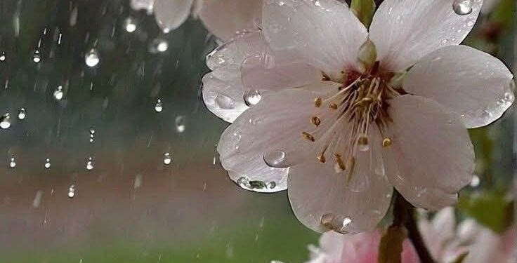 Прогноз погоды на 8 апреля: Облачность и слабые дожди по всей стране