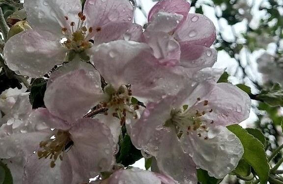 Прогноз погоды на 9 апреля: Преимущественно облачно по всей стране и температура до +11°C