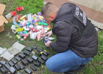 Задержание более 10 кг наркотиков: контрабанда из Испании под видом сладостей и панеттоне