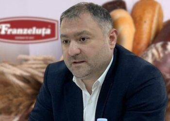 Рост благосостояния на госпредприятии: доходы главы «Franzeluța» и его супруги выросли на 8 миллионов леев за год
