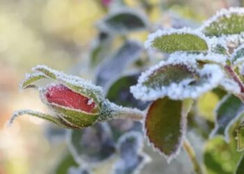 Прогноз погоды на 10 апреля: На севере ожидается мокрый снег, а дневные максимумы не превысят +11°C