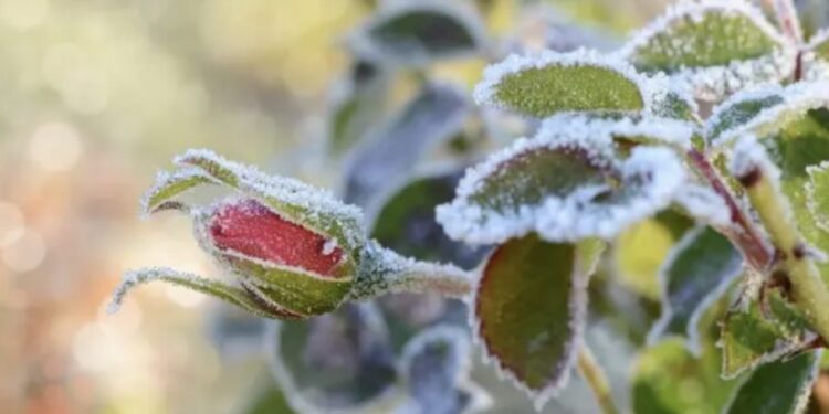 Прогноз погоды на 10 апреля: На севере ожидается мокрый снег, а дневные максимумы не превысят +11°C
