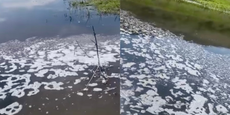 Scurgerile suspecte pe râul Răut continuă: În apă a fost observată din nou spumă. Urmează prelevări