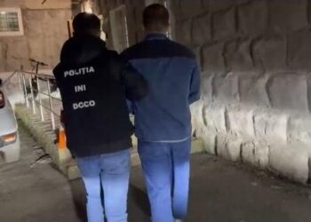 Сеть наркотрафика на маршруте Польша–Молдова: задержан подозреваемый