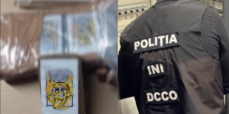 Задержание в Польше благодаря молдавским прокурорам: в машине обнаружено 60 килограммов гашиша