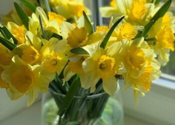 Прогноз погоды на 21 апреля: ожидается похолодание, температура воздуха составит до +13 градусов Цельсия