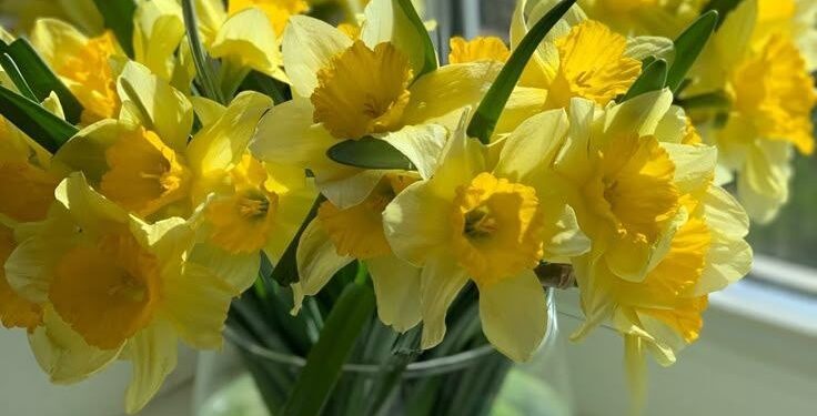 Прогноз погоды на 21 апреля: ожидается похолодание, температура воздуха составит до +13 градусов Цельсия