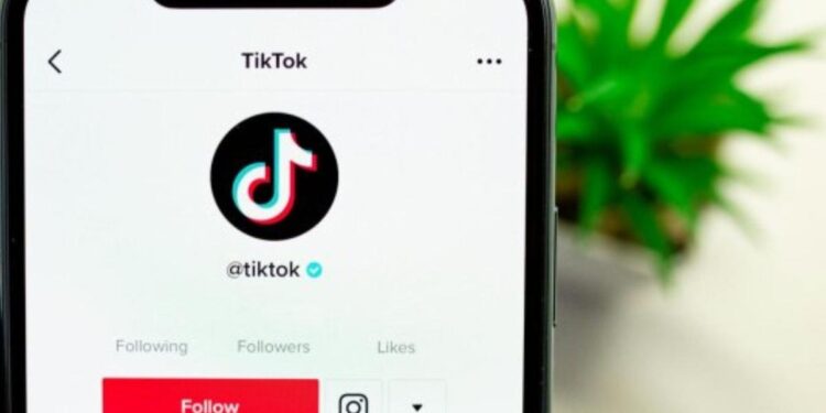 Молодая женщина осуждена за «бизнес» с телефонами в ТикТоке