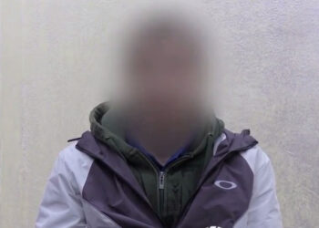 Посольство Молдовы в Москве подтвердило задержание молдаванина