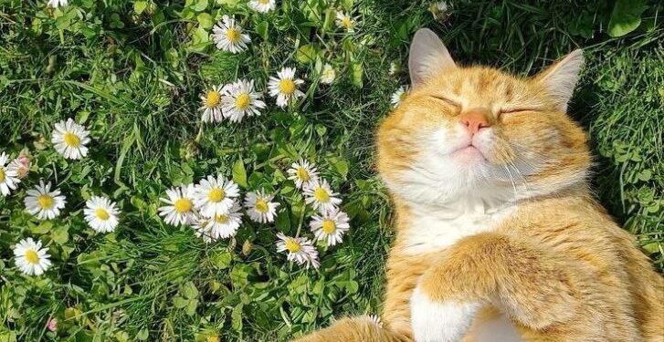 Прогноз погоды на 22 апреля: переменная облачность и температура до +15 градусов Цельсия