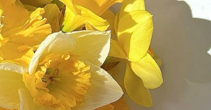 Прогноз погоды на 23 апреля: Желтый код в связи с сильным ветром и заморозками на севере