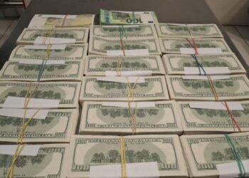 Региональная операция «NELSON-2026»: из незаконного оборота изъято более 10 миллионов леев