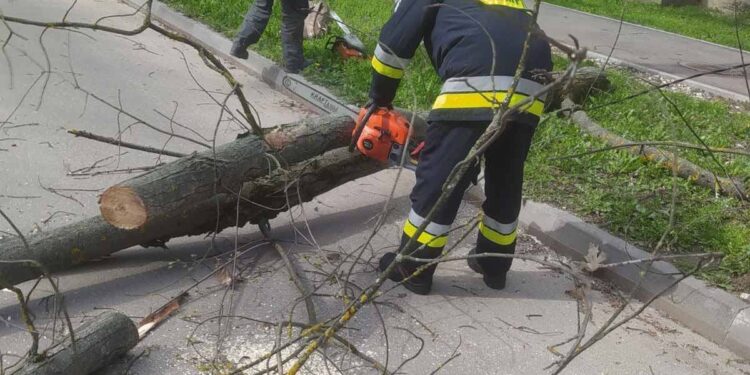 Вмешательство ГИЧС по ликвидации последствий сильного ветра