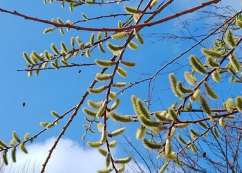 Прогноз погоды на 5 апреля