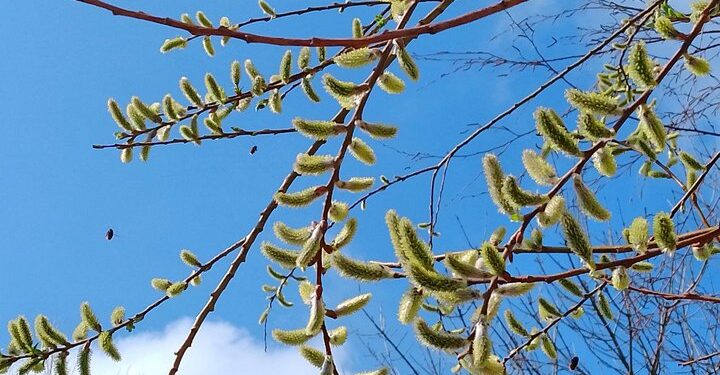 Прогноз погоды на 5 апреля