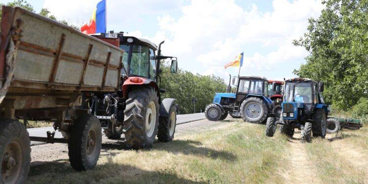 Agricultorii cer autorităților ajutor urgent. raioanele sunt gata să iasă la proteste