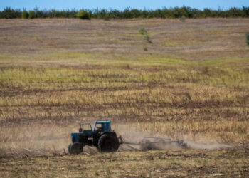 Fermierii acuză interpretarea absurdă a regulilor privind rambursarea TVA. Reacția ministrului finanțelor