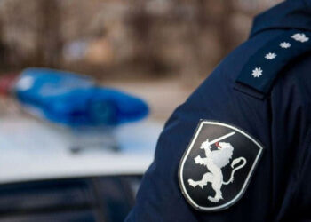 Șeful IGP: Polițistul care a amendat-o pe Ludmila Vartic în locul soțului nu a fost demis