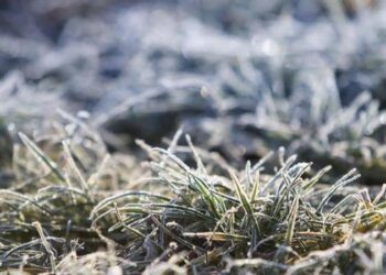 Lovitură pentru agricultori: Un Cod Galben de înghețuri în nordul țării, emis de meteorologi. Temperaturile coboară până la -3°C