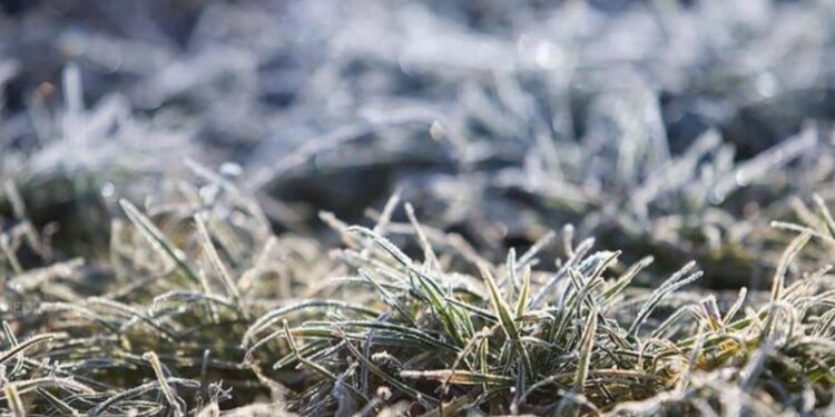 Lovitură pentru agricultori: Un Cod Galben de înghețuri în nordul țării, emis de meteorologi. Temperaturile coboară până la -3°C