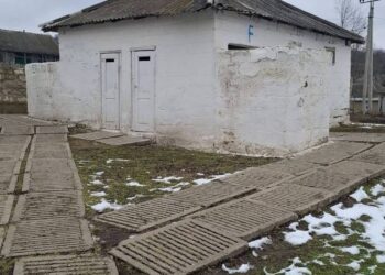 Спор о школьных туалетах разгорелся между Чебаном и Перчуном