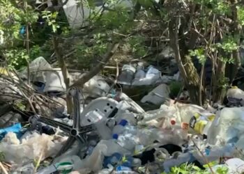 Groapă de gunoi ilegală uriașă în centrul Chișinăului: haite de câini și miros insuportabil