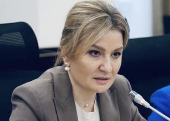 Șefa Agenției pentru Combaterea Violenței împotriva Femeilor: „Nu am fost angajată niciodată”