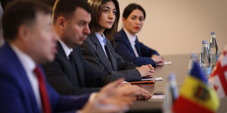 «Хотим как в Грузии»: молдавские депутаты оценили грузинский опыт развития