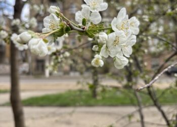 Прогноз погоды на 11 апреля