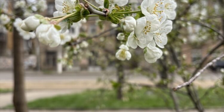 Прогноз погоды на 11 апреля