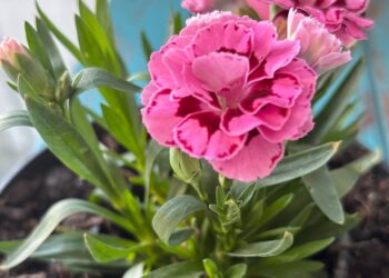 Прогноз погоды на 19 апреля