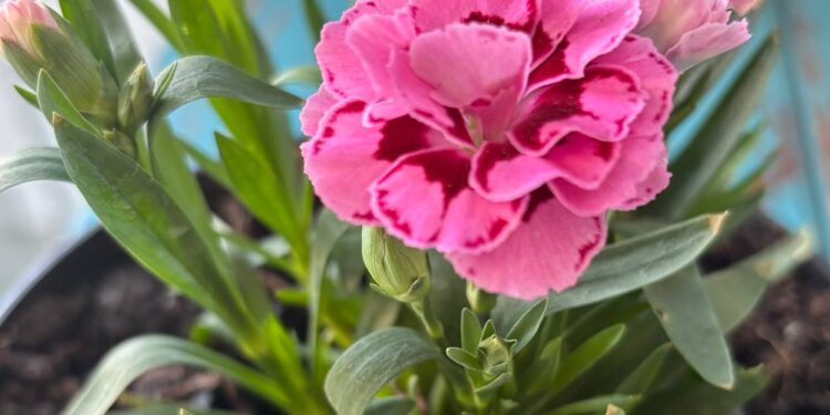 Прогноз погоды на 19 апреля