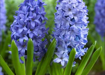 Прогноз погоды на 26 апреля