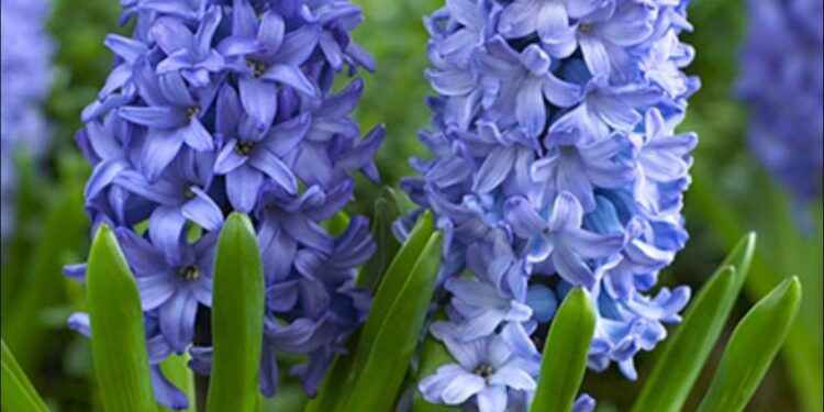 Прогноз погоды на 26 апреля