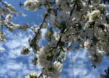 Прогноз погоды на 18 апреля