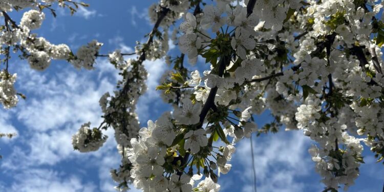 Прогноз погоды на 18 апреля