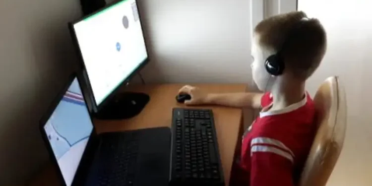 Lecții video pentru pregătirea examenului la limba română