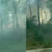 Пожар рядом с аэропортом Кишинева: загорелась растительность