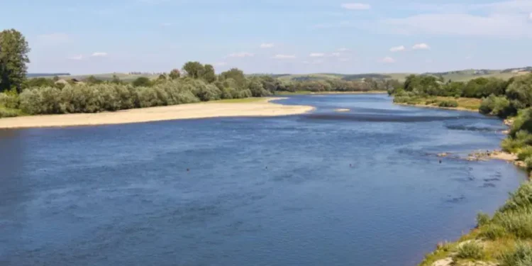 Nistrul, fără viitură ecologică al treilea an la rând: Nivel istoric scăzut al apei