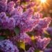 Прогноз погоды на 6 мая: ясно и до +28°C
