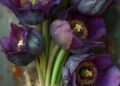 Прогноз погоды на 8 мая: переменная облачность и до +24°C