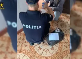 В Фалештах полиция изъяла более 13 тысяч контрабандных сигарет