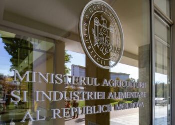 Nereguli la MAIA: Compensații de sute de mii de lei achitate nejustificat și sporuri acordate cu abateri